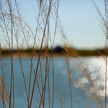 Рыболовный клуб Головино